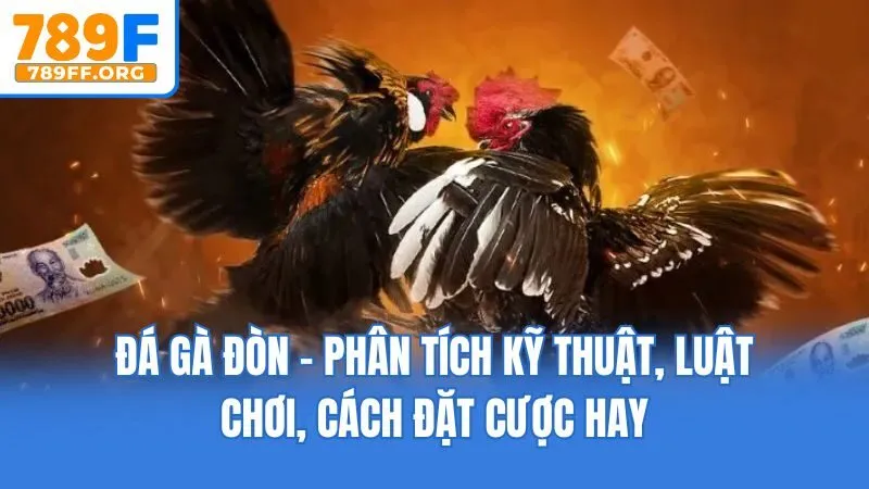 Đá Gà Đòn - Phân Tích Kỹ Thuật, Luật Chơi, Cách Đặt Cược Hay
