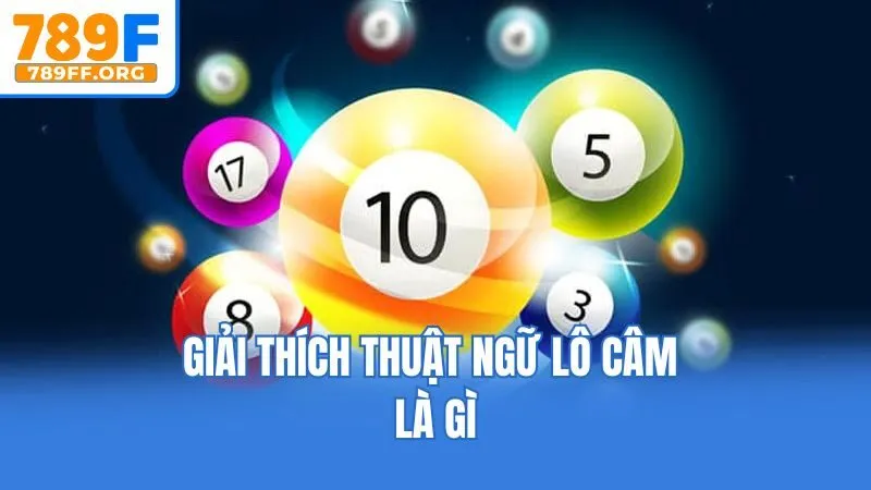 Giải thích thuật ngữ lô câm là gì