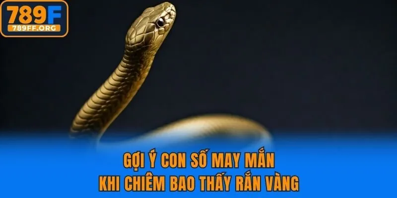 Gợi ý con số may mắn khi chiêm bao thấy rắn vàng